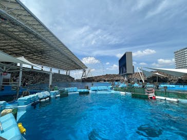 名古屋港水族館に投稿された画像（2025/5/1）