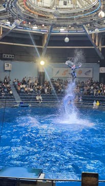 マクセル アクアパーク品川に投稿された画像（2025/5/1）