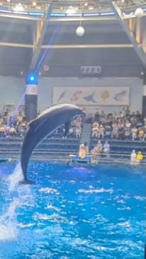 マクセル アクアパーク品川に投稿された画像（2025/5/1）