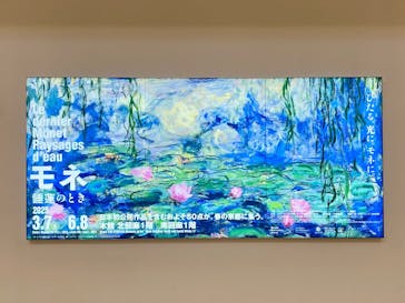 モネ　睡蓮のときに投稿された画像（2025/5/1）