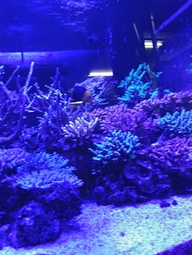 竹島水族館に投稿された画像（2025/5/1）