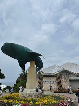 沖縄美ら海水族館に投稿された画像（2025/5/1）