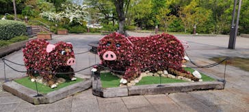 安城産業文化公園デンパークに投稿された画像（2025/5/1）