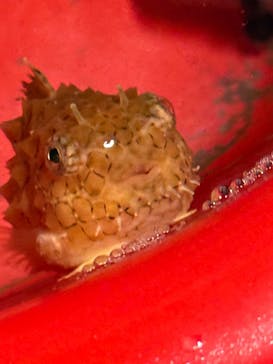 アクアマリンふくしまに投稿された画像（2025/5/1）