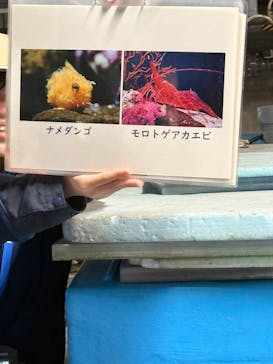 アクアマリンふくしまに投稿された画像（2025/5/1）