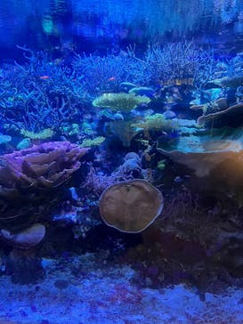 名古屋港水族館に投稿された画像（2025/5/1）