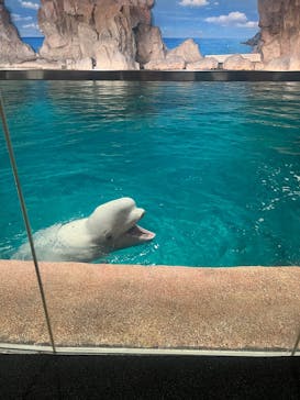 名古屋港水族館に投稿された画像（2025/5/1）