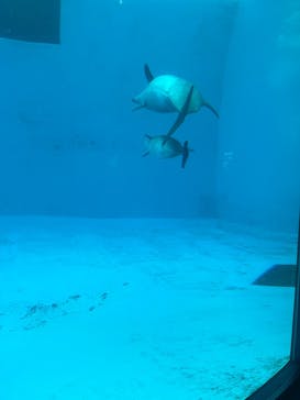 名古屋港水族館に投稿された画像（2025/5/1）