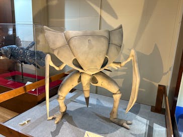 福井県立恐竜博物館に投稿された画像（2025/5/1）