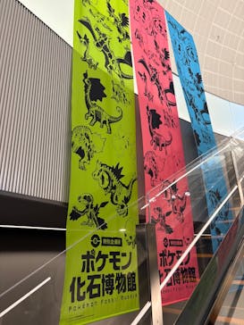 福井県立恐竜博物館に投稿された画像（2025/5/1）