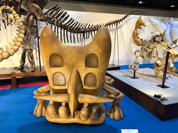 福井県立恐竜博物館に投稿された画像（2025/5/1）