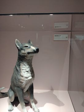 特別展「古代DNA－日本人のきた道」（国立科学博物館）に投稿された画像（2025/5/1）