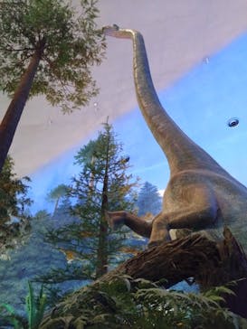 福井県立恐竜博物館に投稿された画像（2025/5/1）