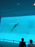 名古屋港水族館に投稿された画像（2025/5/1）