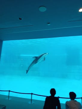 名古屋港水族館に投稿された画像（2025/5/1）