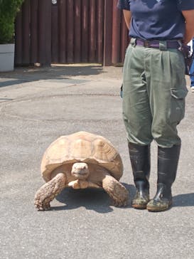 東武動物公園に投稿された画像（2025/5/1）