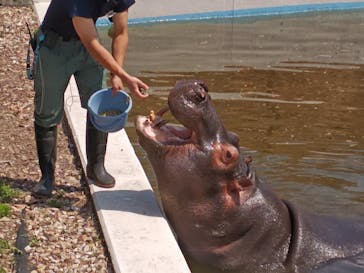 東武動物公園に投稿された画像（2025/5/1）