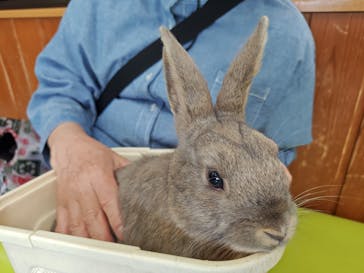東武動物公園に投稿された画像（2025/5/1）