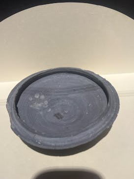 特別展「古代DNA－日本人のきた道」（国立科学博物館）に投稿された画像（2025/5/1）