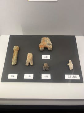 特別展「古代DNA－日本人のきた道」（国立科学博物館）に投稿された画像（2025/5/1）