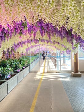 東京サマーランドに投稿された画像（2025/5/1）