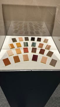 ポケモン×工芸展－美とわざの大発見－に投稿された画像（2025/5/1）