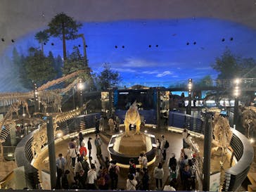 福井県立恐竜博物館に投稿された画像（2025/5/1）