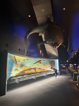 環境水族館アクアマリンふくしまに投稿された画像（2025/5/1）