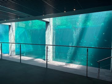 環境水族館アクアマリンふくしまに投稿された画像（2025/5/1）