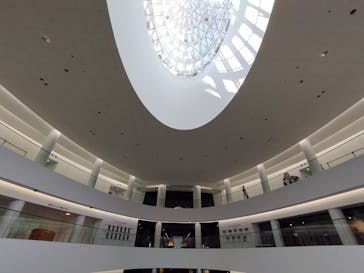 福井県立恐竜博物館に投稿された画像（2025/5/1）