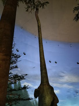 福井県立恐竜博物館に投稿された画像（2025/5/1）