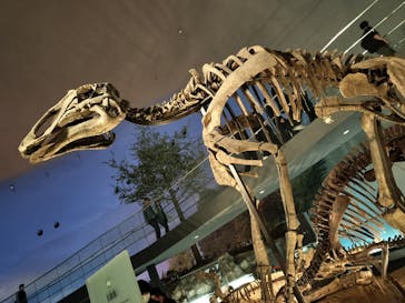 福井県立恐竜博物館に投稿された画像（2025/5/1）