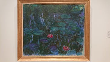 モネ　睡蓮のときに投稿された画像（2025/5/1）