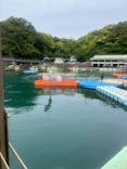 下田海中水族館に投稿された画像（2025/5/1）