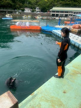 下田海中水族館に投稿された画像（2025/5/1）