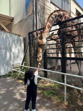 宇都宮動物園に投稿された画像（2025/5/1）