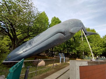 国立科学博物館に投稿された画像（2025/5/1）