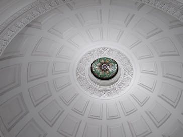 国立科学博物館に投稿された画像（2025/5/1）