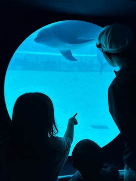 南知多ビーチランド＆南知多おもちゃ王国に投稿された画像（2025/5/1）