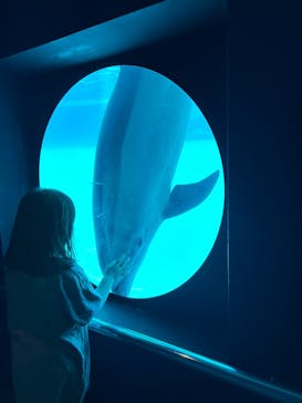 南知多ビーチランド＆南知多おもちゃ王国に投稿された画像（2025/5/1）