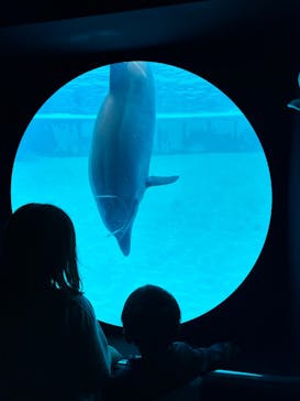 南知多ビーチランド＆南知多おもちゃ王国に投稿された画像（2025/5/1）