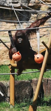 東京動物園協会_多摩動物公園に投稿された画像（2025/5/1）