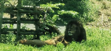 東京動物園協会_多摩動物公園に投稿された画像（2025/5/1）