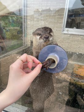 下田海中水族館に投稿された画像（2025/5/1）