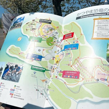 福井県立恐竜博物館に投稿された画像（2025/5/1）