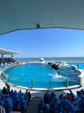 鴨川シーワールドに投稿された画像（2025/5/1）