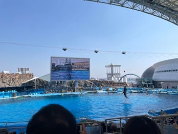 名古屋港水族館に投稿された画像（2025/5/1）