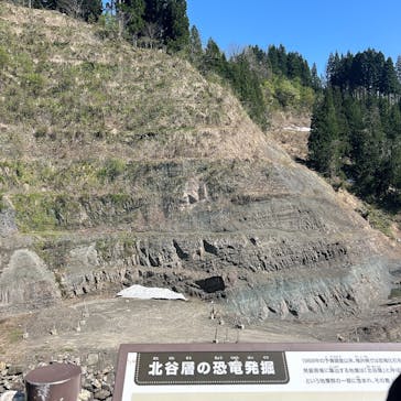 福井県立恐竜博物館に投稿された画像（2025/5/1）