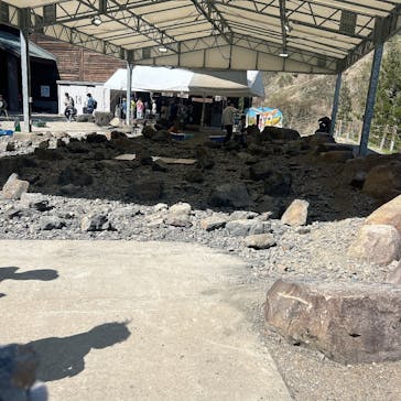 福井県立恐竜博物館に投稿された画像（2025/5/1）