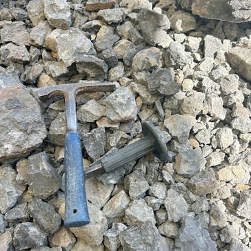 福井県立恐竜博物館に投稿された画像（2025/5/1）